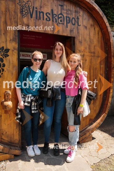 Vinska pot v rovih pod starim Kranjem, sobota