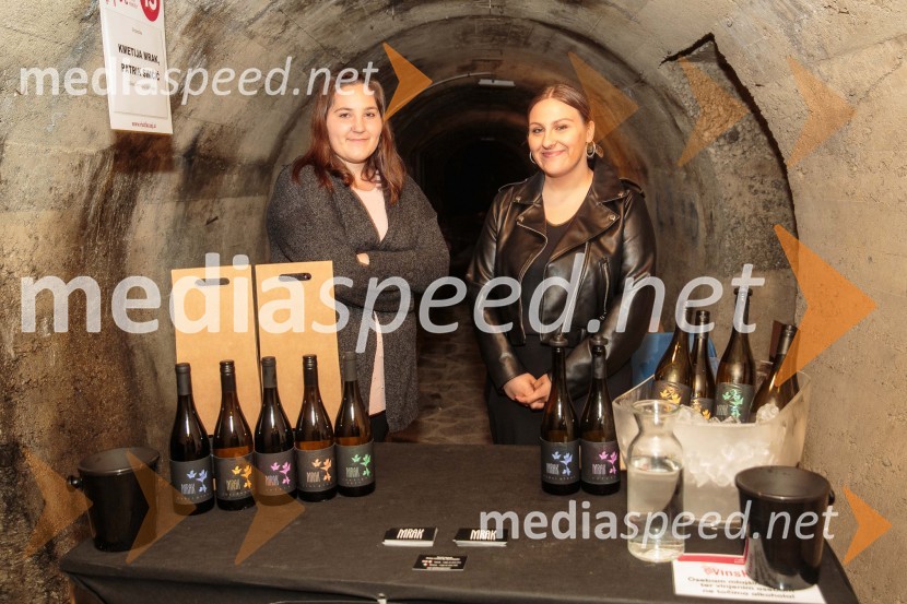 Vinska pot v rovih pod starim Kranjem, sobota