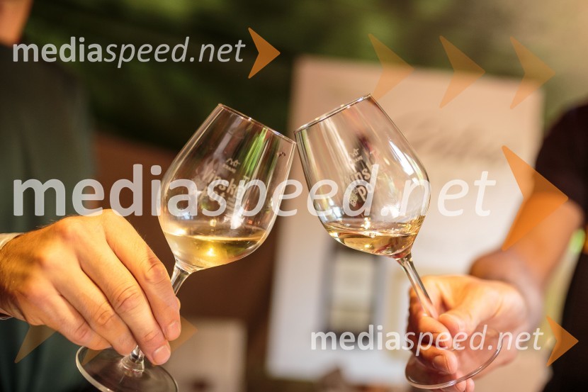 Vinska pot v rovih pod starim Kranjem, sobota