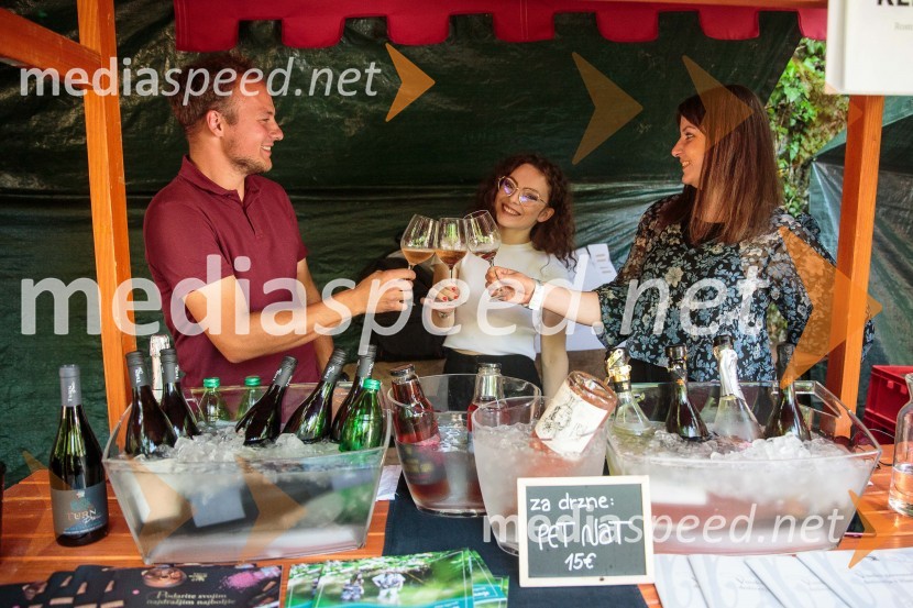 Vinska pot v rovih pod starim Kranjem, sobota