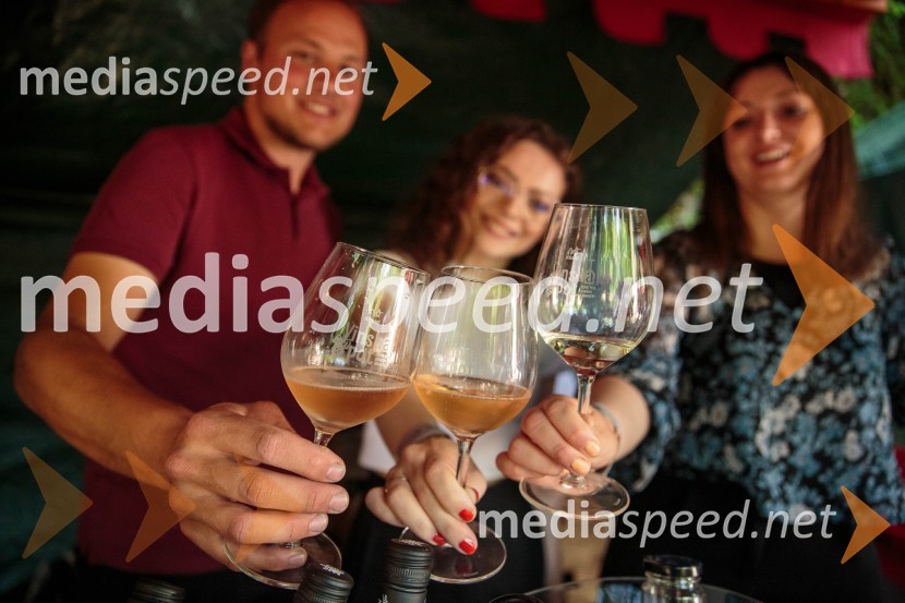 Vinska pot v rovih pod starim Kranjem, sobota