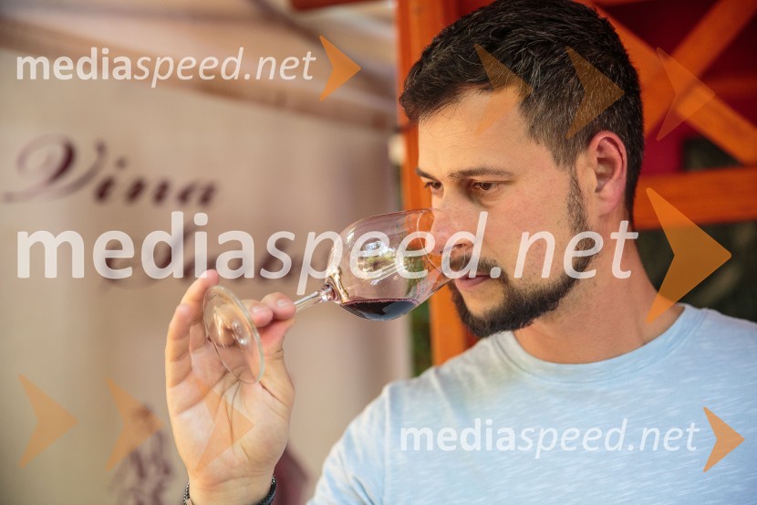  Tomaz Sartori, vina SartoriVinska pot v rovih pod starim Kranjem, sobota