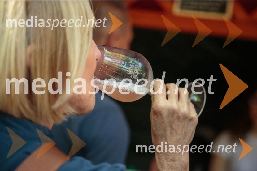 Vinska pot v rovih pod starim Kranjem, sobota