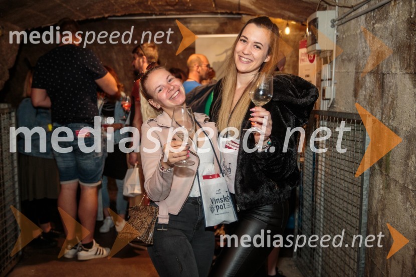 Vinska pot v rovih pod starim Kranjem, sobota