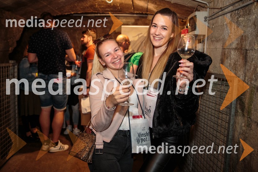 Vinska pot v rovih pod starim Kranjem, sobota