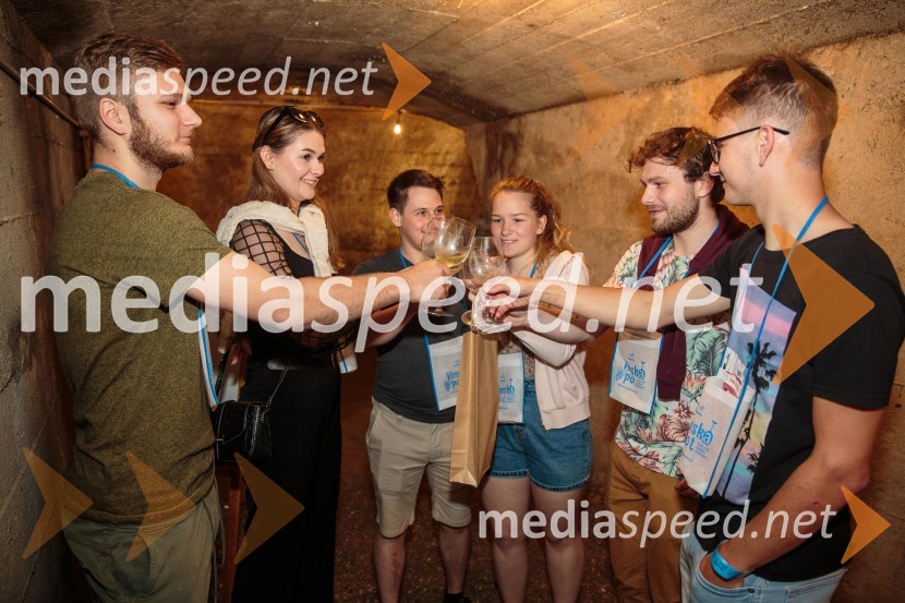 Vinska pot v rovih pod starim Kranjem, sobota