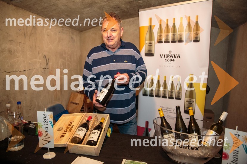  Pavič  Egidij, Vipava 1894Vinska pot v rovih pod starim Kranjem, sobota