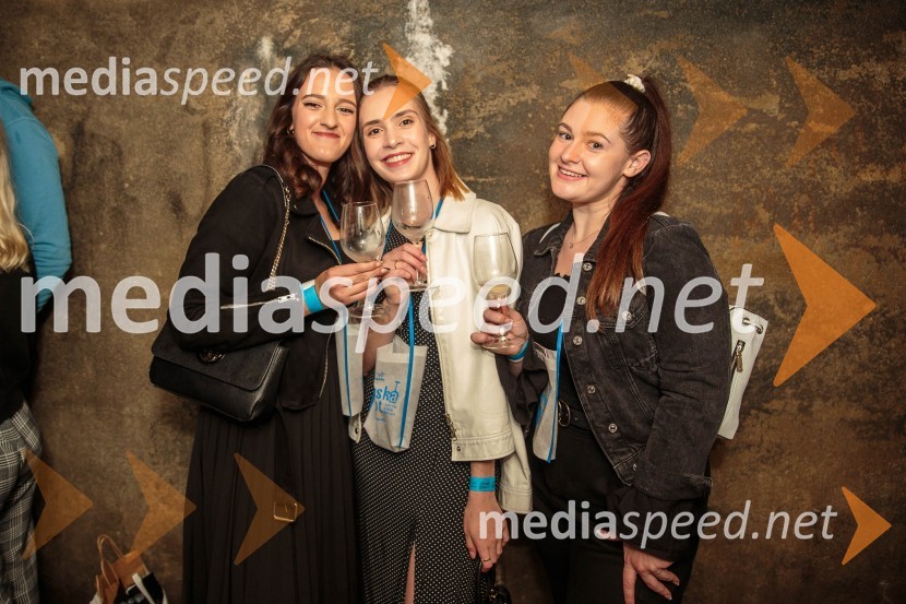 Vinska pot v rovih pod starim Kranjem, sobota