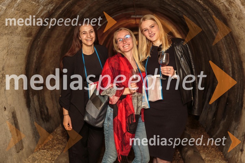 Vinska pot v rovih pod starim Kranjem, sobota