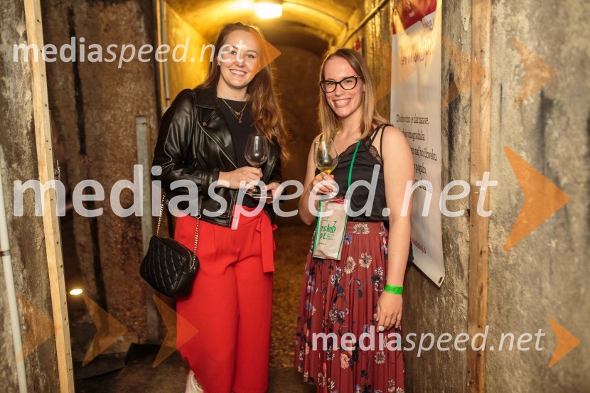 Vinska pot v rovih pod starim Kranjem, sobota