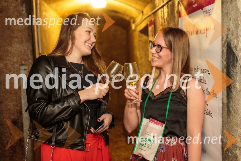 Vinska pot v rovih pod starim Kranjem, sobota