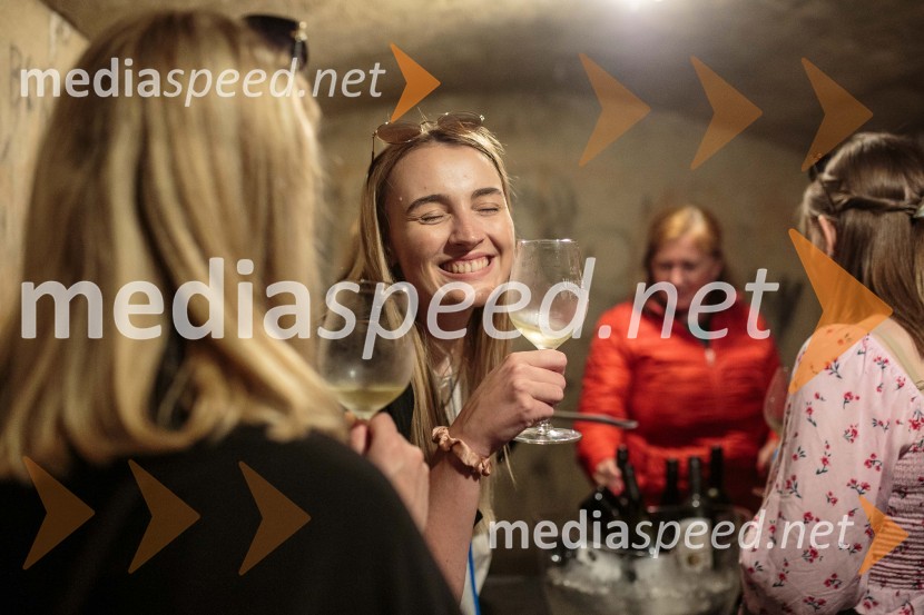 Vinska pot v rovih pod starim Kranjem, sobota