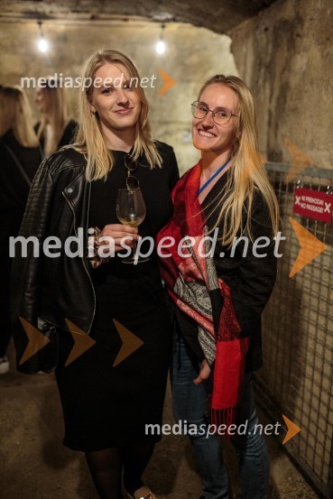 Vinska pot v rovih pod starim Kranjem, sobota