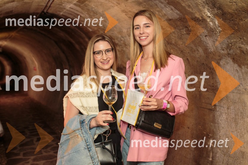 Vinska pot v rovih pod starim Kranjem, sobota