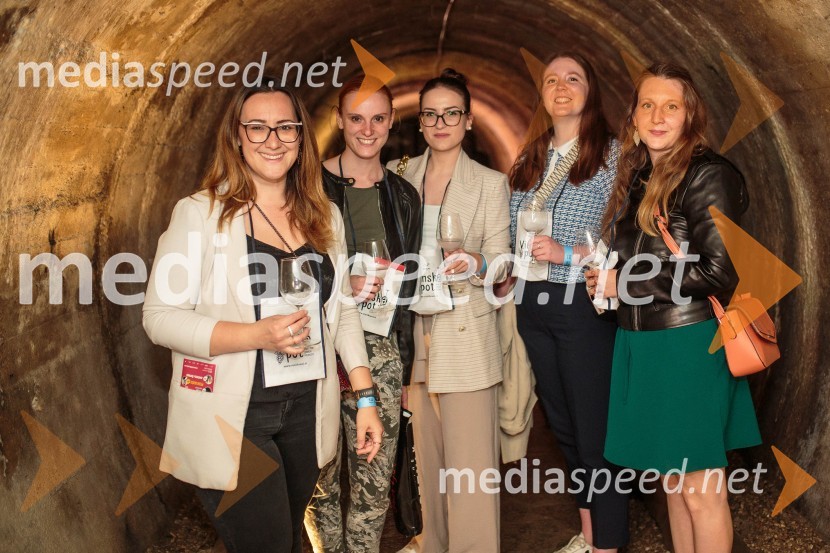 Vinska pot v rovih pod starim Kranjem, sobota