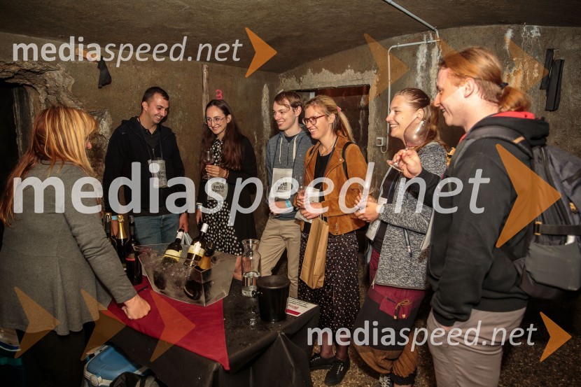 Vinska pot v rovih pod starim Kranjem, sobota