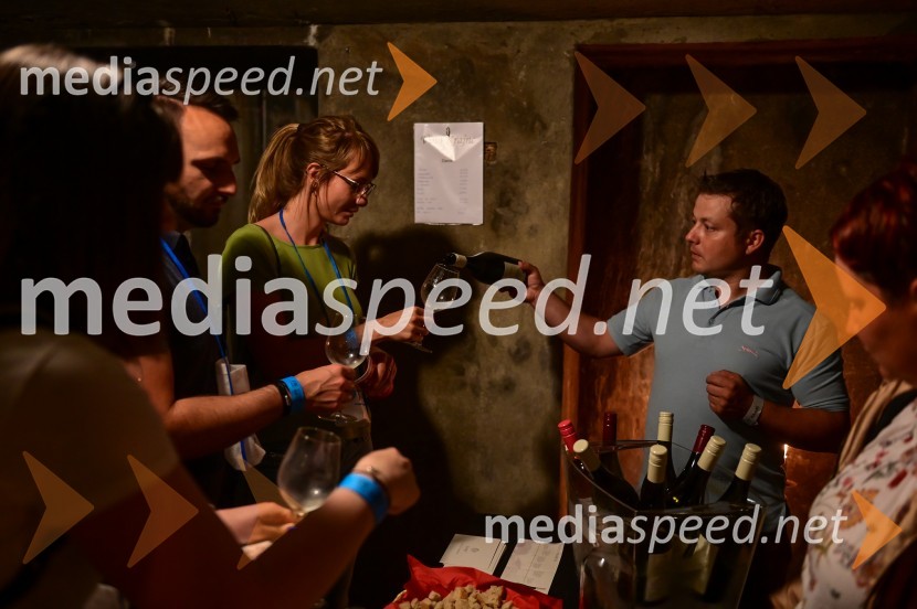 Vinska pot v rovih pod starim Kranjem, petek