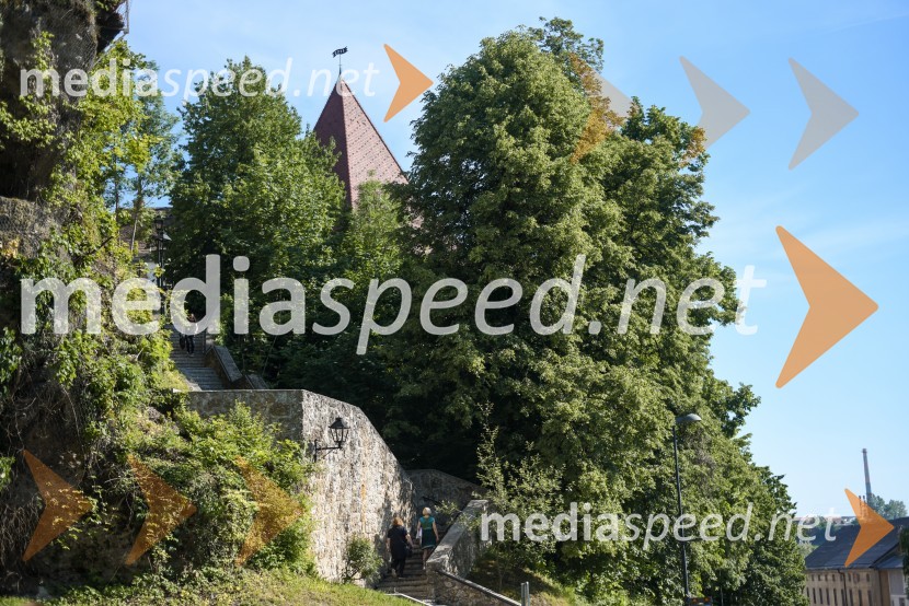 Vinska pot v rovih pod starim Kranjem, petek