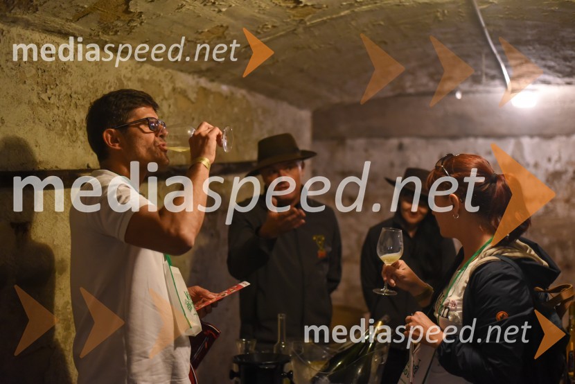 Vinska pot v rovih pod starim Kranjem, petek