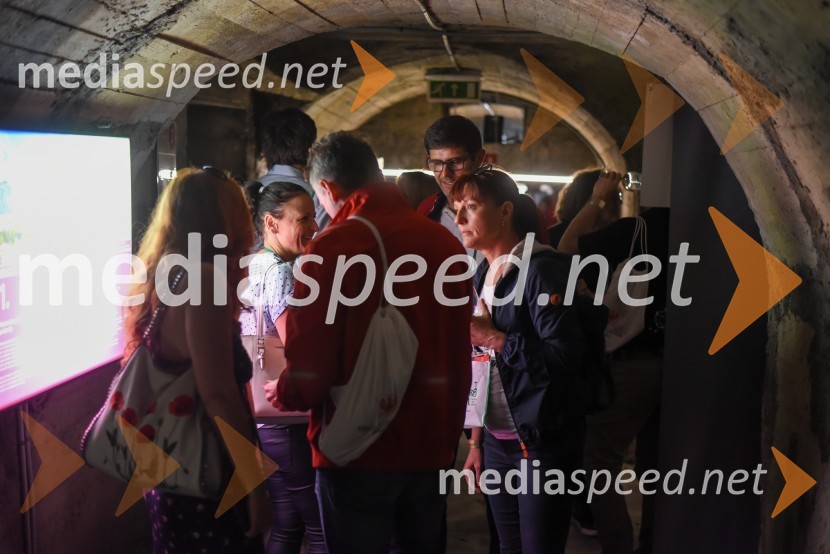 Vinska pot v rovih pod starim Kranjem, petek