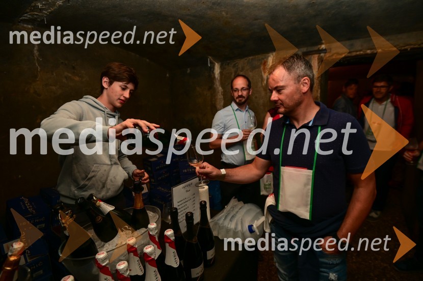  Jan Šuštar, penine Istenič;  ... Vinska pot v rovih pod starim Kranjem, petek