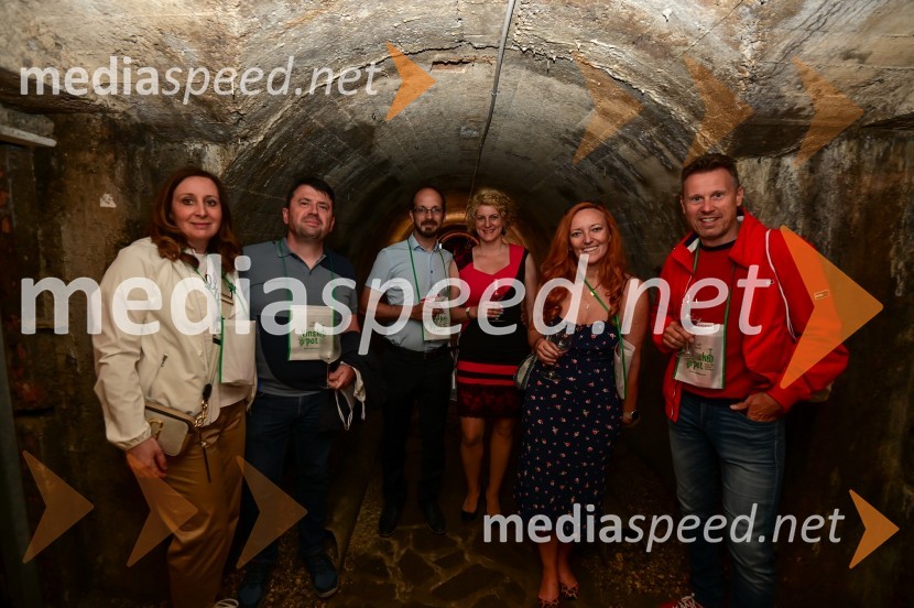 Vinska pot v rovih pod starim Kranjem, petek