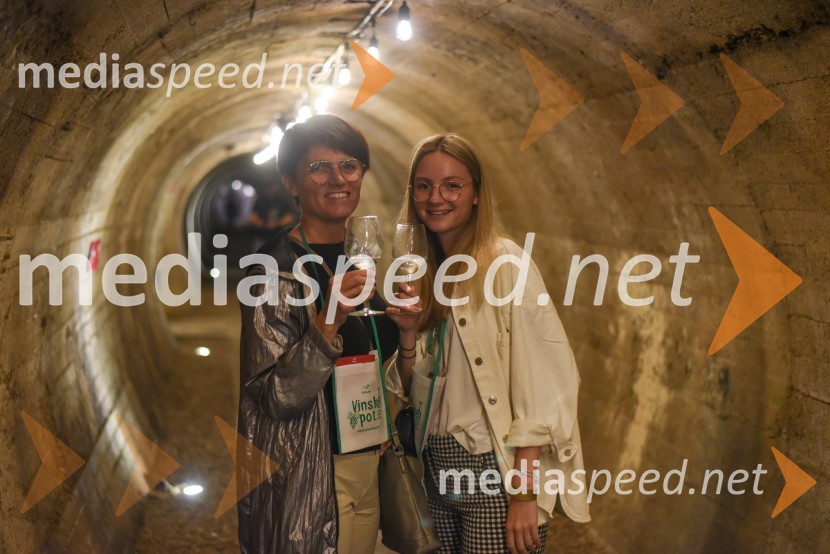 Vinska pot v rovih pod starim Kranjem, petek