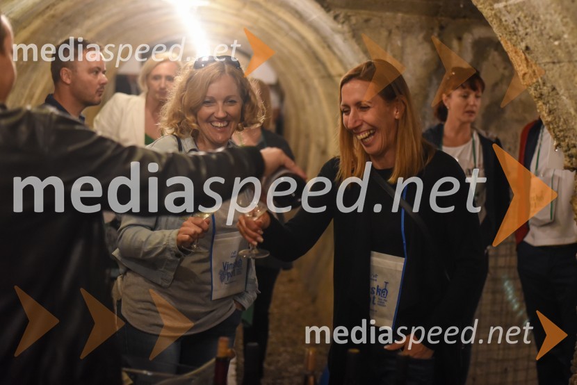 Vinska pot v rovih pod starim Kranjem, petek