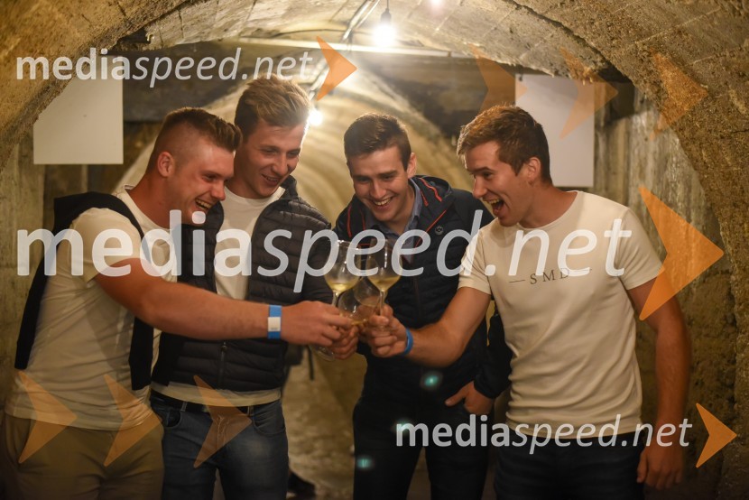 Vinska pot v rovih pod starim Kranjem, petek