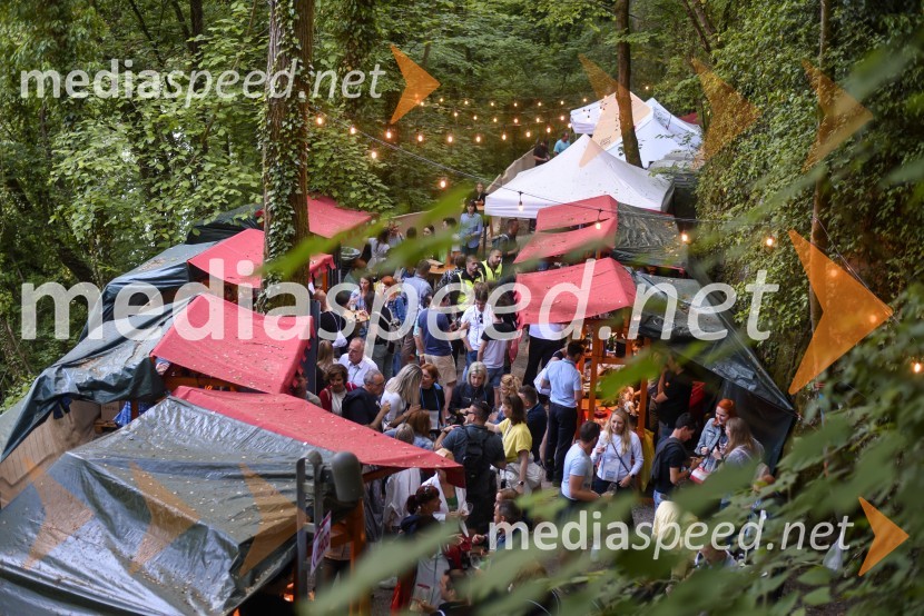 Vinska pot v rovih pod starim Kranjem, petek