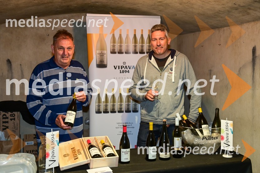  Pavič  Egidij, Vipava 1894Vinska pot v rovih pod starim Kranjem, petek