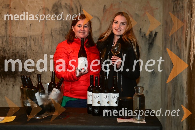  Barbara  Kos, Ptujska klet;  Laura  StuparVinska pot v rovih pod starim Kranjem, petek