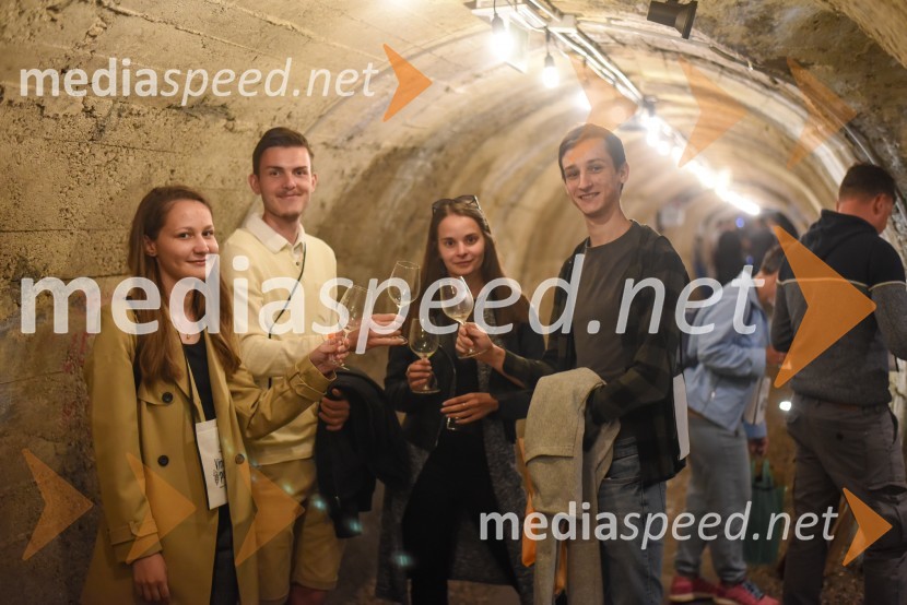 Vinska pot v rovih pod starim Kranjem, petek