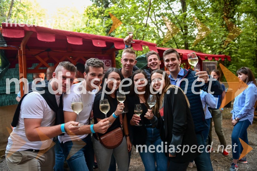 Vinska pot v rovih pod starim Kranjem, petek