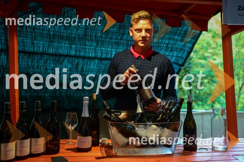 Vinska pot v rovih pod starim Kranjem, petek