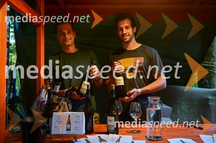 Vinska pot v rovih pod starim Kranjem, petek