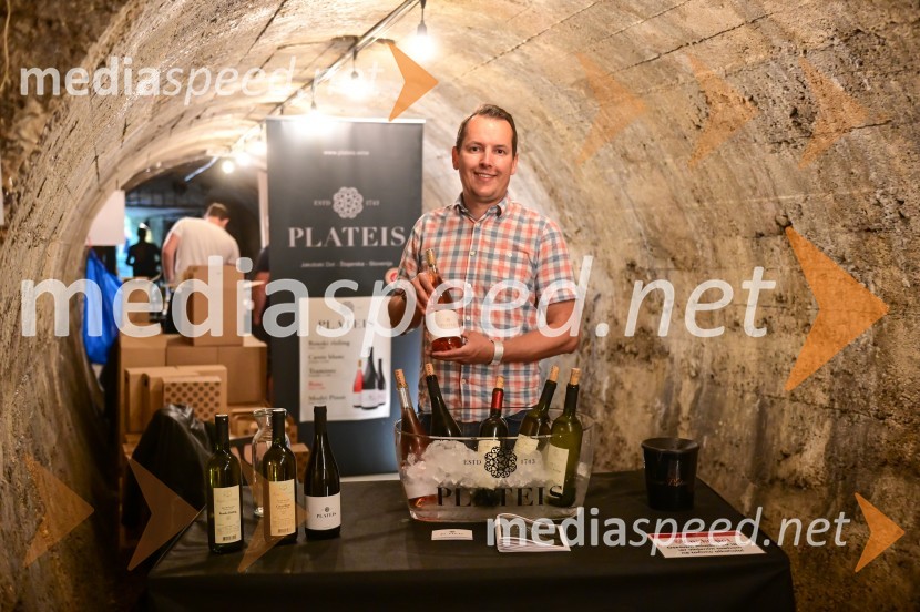 Vinska pot v rovih pod starim Kranjem, petek