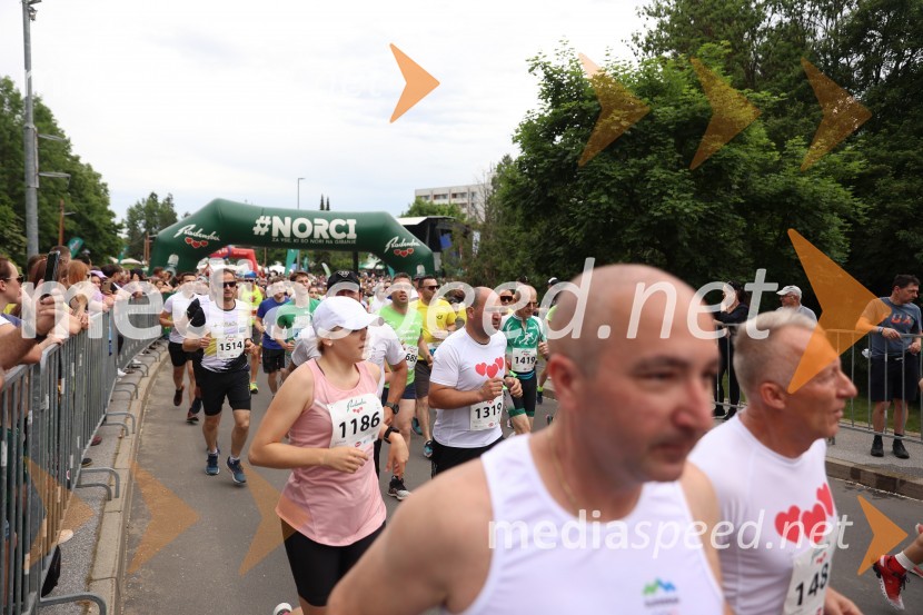  Leja Ocvirk40. Maraton treh src