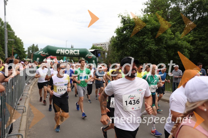  Bor Sajko;  Bojan Balažek40. Maraton treh src