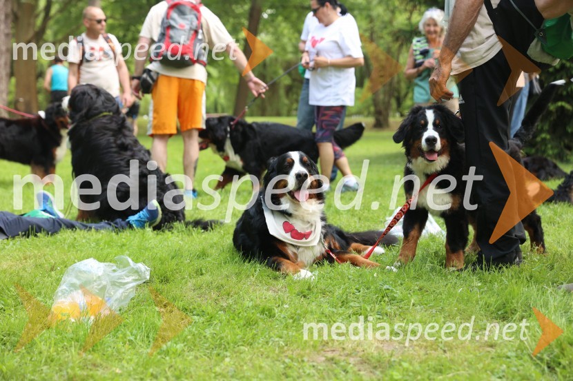 40. Maraton treh src