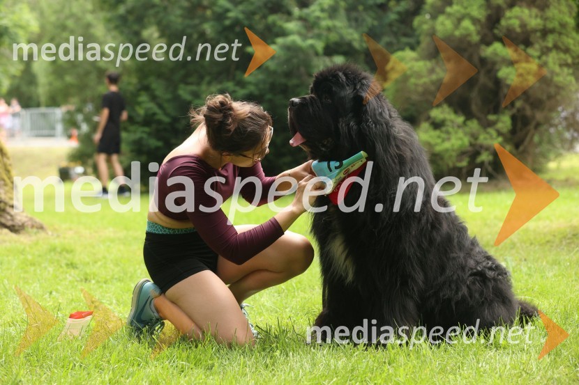 40. Maraton treh src