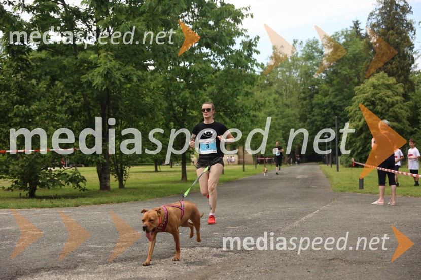 40. Maraton treh src