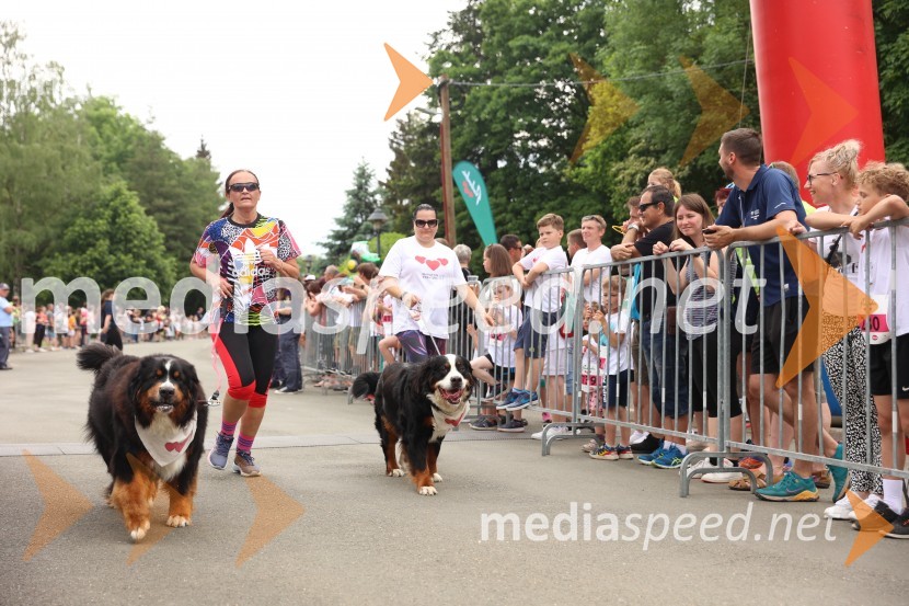 40. Maraton treh src