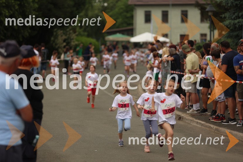 40. Maraton treh src