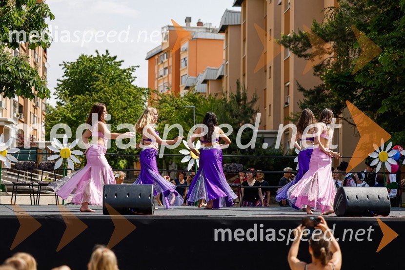 Otroška in mladinska skupina Leyli & Orientalske plesalke LUKParada učenja Ljudske univerze Kranj 2022