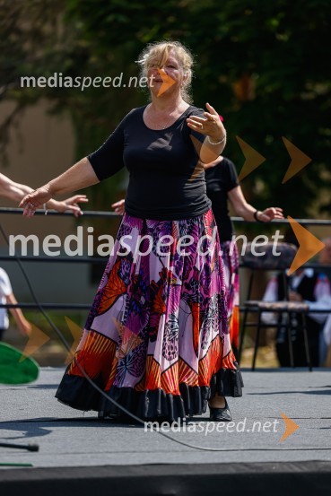 Orientalske plesalke LUKParada učenja Ljudske univerze Kranj 2022