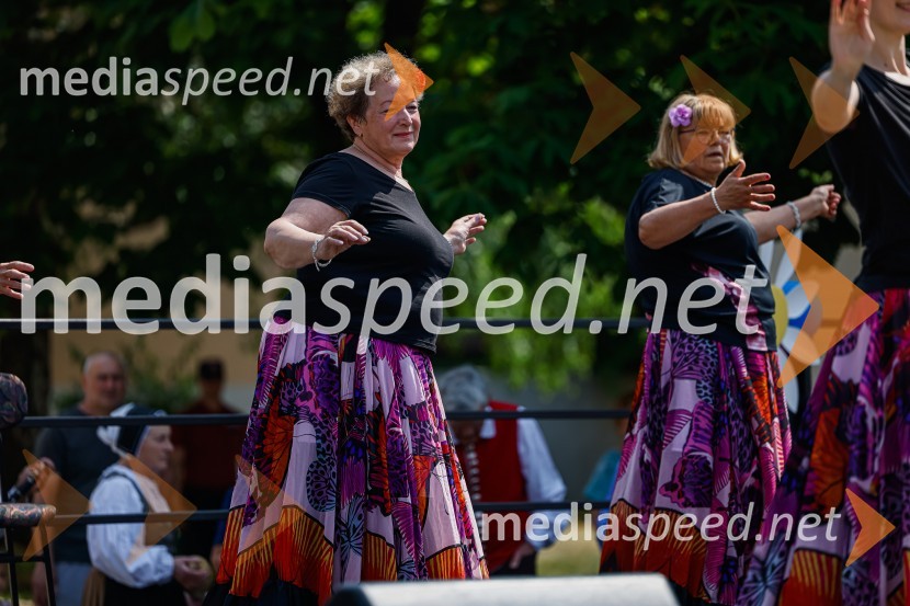 Orientalske plesalke LUKParada učenja Ljudske univerze Kranj 2022