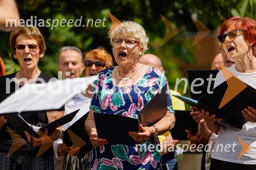 Pevski nastop MePZ DU ŠenčurParada učenja Ljudske univerze Kranj 2022