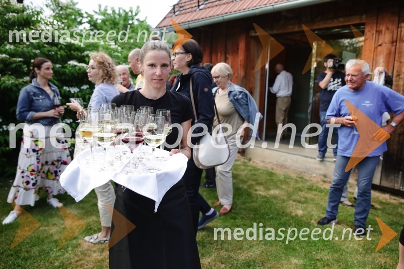 ISKRIVO V ŽIVO - Miha Šalehar v pogovoru z Natašo Štefe