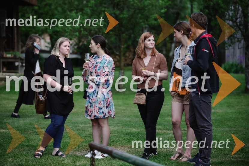 ISKRIVO V ŽIVO - Miha Šalehar v pogovoru z Natašo Štefe